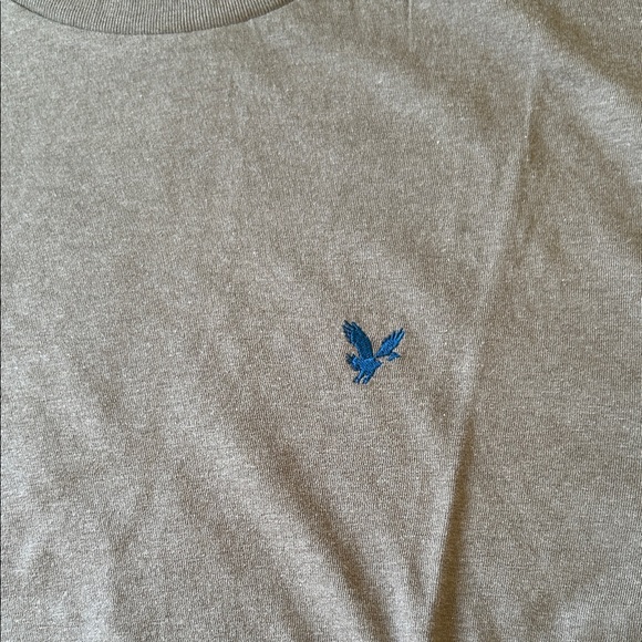American Eagle Soft Brown Tee - Picture 4 of 6
